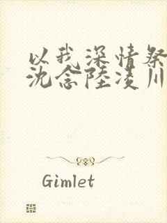 以我深情祭岁月沈念陆凌川