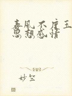 春风不度玉门关思想感情