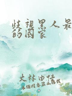 歧视黑人最严重的国家