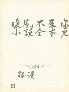 暖风不及你情深小说全本免费