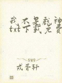 我不是戏神小说txt下载免费