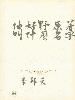 他好野原著小说叫什么名字