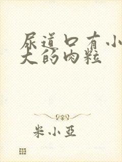 尿道口有小米粒大的肉粒