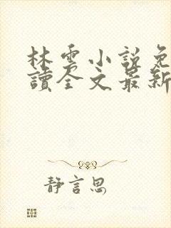 林云小说免费阅读全文最新