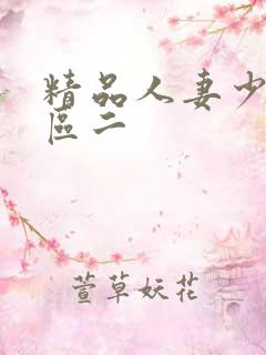 精品人妻少妇一区二