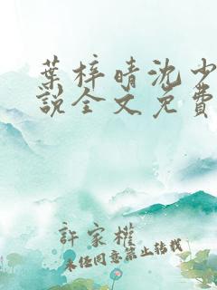 叶梓晴沈少廷小说全文免费阅读