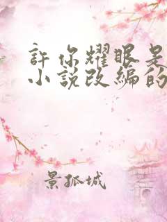 许你耀眼是哪部小说改编的