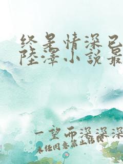 终是情深已相忘陆泽小说最新章节