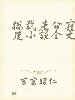 总裁老公宠妻无度小说全文免费