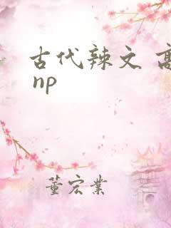 古代辣文 高h np