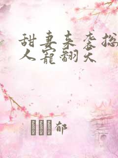 甜妻来袭总裁大人宠翻天