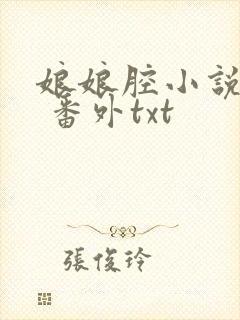 娘娘腔小说完整 番外txt