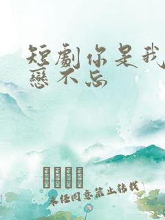 短剧你是我的恋恋不忘