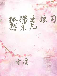 孤独之狼司空嫣然叶凡