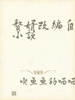 赘婿改编自哪个小说