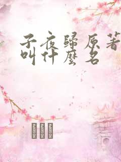 子夜归原著小说叫什么名