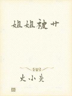 姐姐被艹