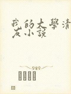 我的大学清纯女友小说