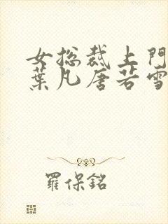 女总裁上门女婿叶凡唐若雪