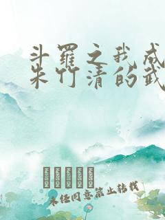 斗罗之我成为了朱竹清的武魂小说