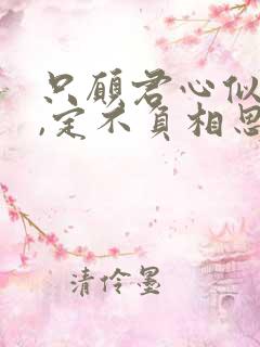 只愿君心似我心,定不负相思意意思