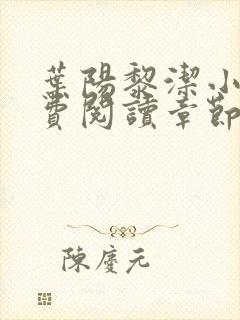 叶阳黎洁小说免费阅读章节最新