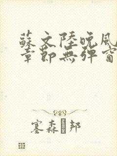 苏文陆晚风最新章节无弹窗笔趣阁