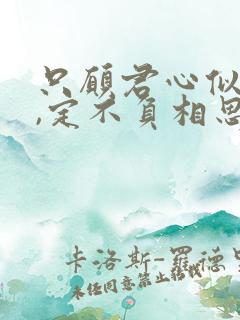 只愿君心似我心,定不负相思意的含义