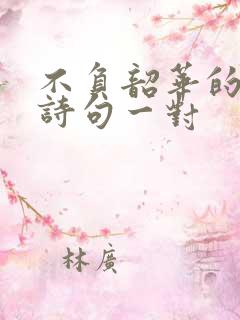 不负韶华的励志诗句一对