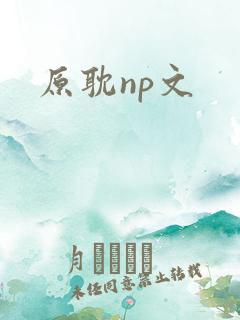 原耽np文