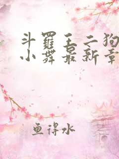 斗罗王二狗浮神小舞最新章节内容