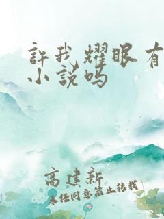 许我耀眼有原著小说吗