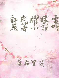 许我耀眼电视剧原著小说叫什么