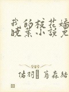 我的校花娇妻秦晓叶小说免费阅读