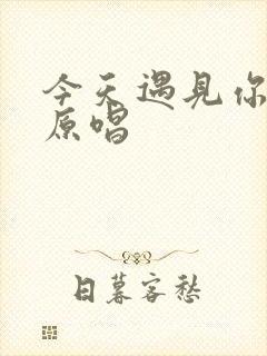 今天遇见你真好原唱