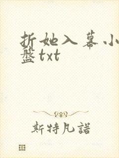 折她入幕小说网盘txt