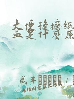 大便后擦纸上有血是什么原因