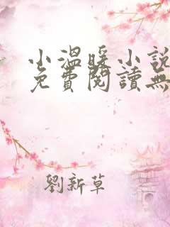 小温暖小说全文免费阅读无弹窗