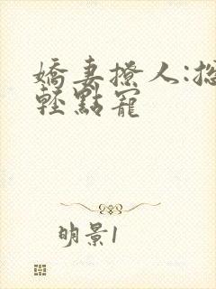 娇妻撩人:总裁轻点宠