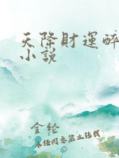 天降财运醉不乖小说