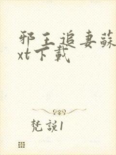 邪王追妻苏落txt下载