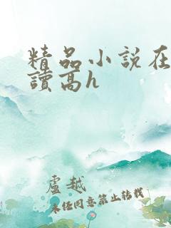 精品小说在线阅读高h