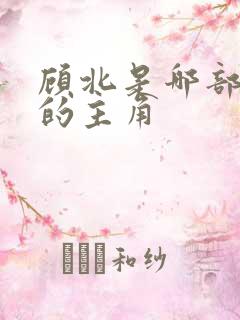 顾北是哪部小说的主角