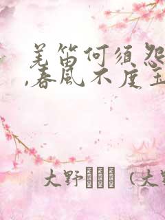 羌笛何须怨杨柳,春风不度玉门关的意思