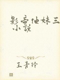 影帝他妹三岁半 小说