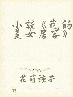 小说《我的绝色美女房客》