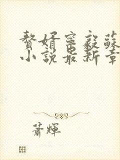 赘婿宁毅苏檀儿小说最新章节阅