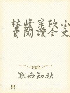 林峰宁欣小说免费阅读全文最新章节