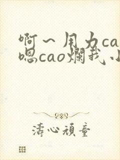 啊～用力cao嗯cao烂我小说