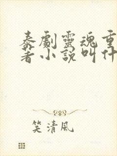 泰剧灵魂重生原著小说叫什么名字